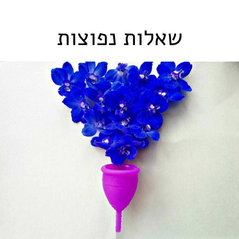 כל השאלות בנוגע לשימוש בגביעונית כאן